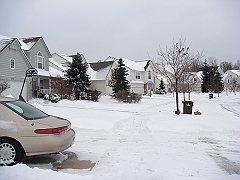 014 A2 Snowfall & Trees [2008 Dec 20]